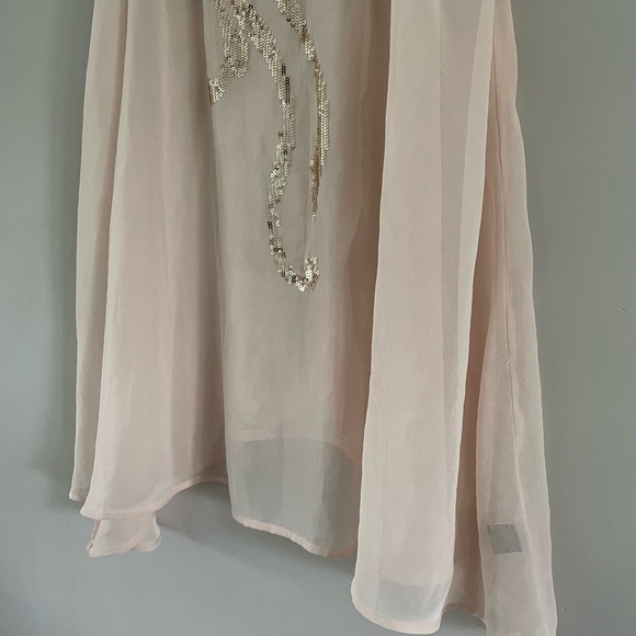 Express | Blush Sheer Chiffon Sequin Tank | Sz XS - Picture 6 of 10